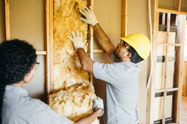 Best Garage Insulation  in San Angelo, TX